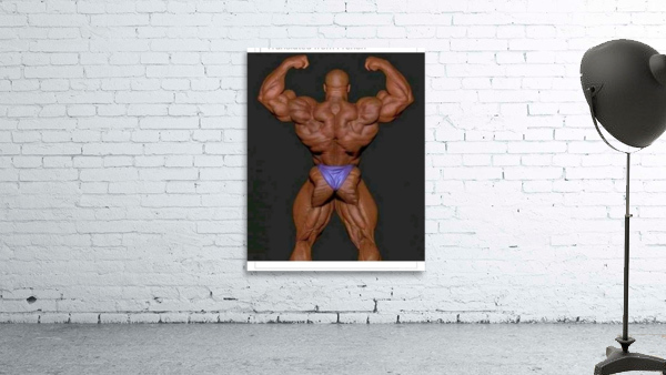 GYM MONSTER Wall Preview