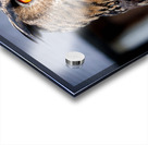 Proud Eagle Owl Acrylic print