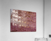 Woodland Impression acrylique