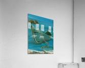 Stranded Acrylic Print