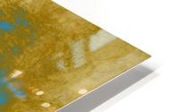 Gold Rose HD Metal print