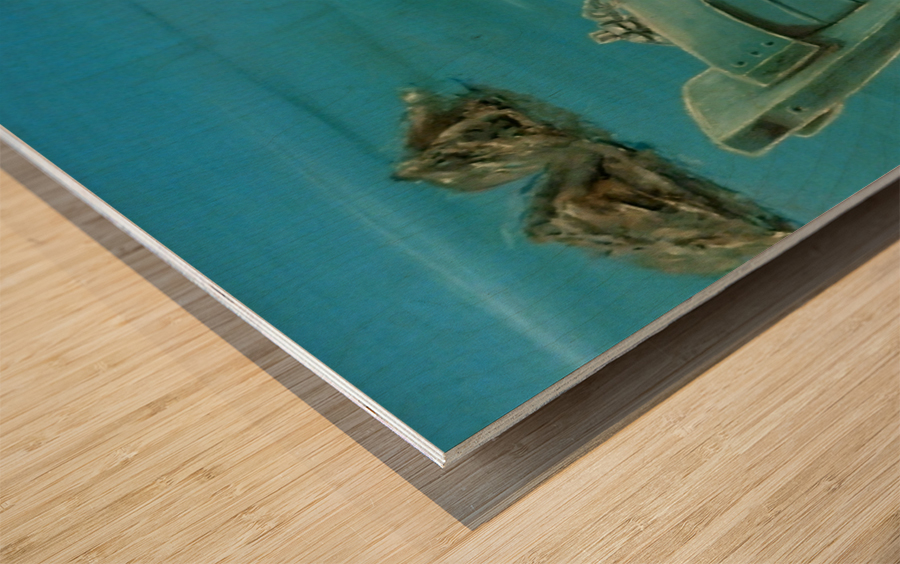 Stranded Wood print