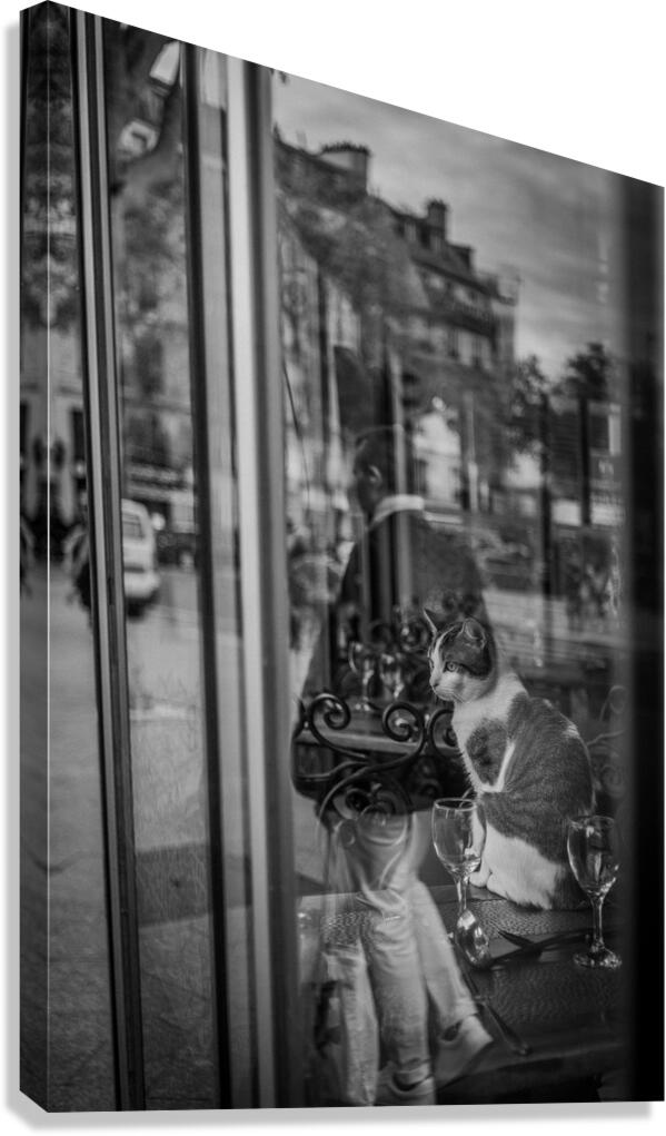 A Parisian cat 3 Canvas Print