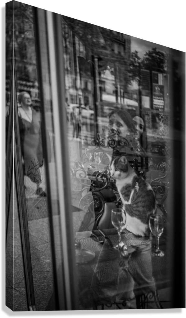 A Parisian cat 4 Canvas Print