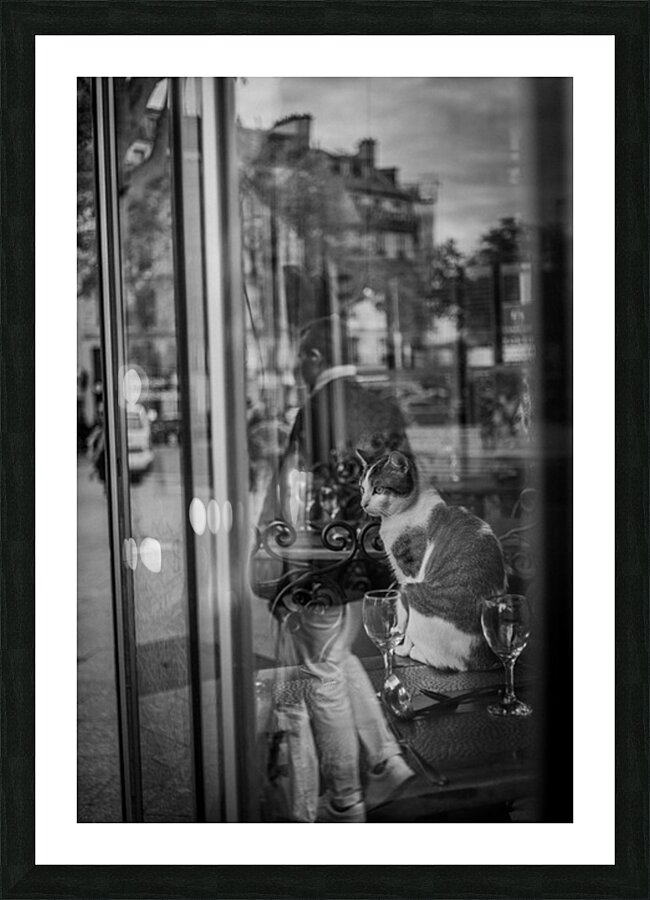 A Parisian cat 3 Picture Frame print