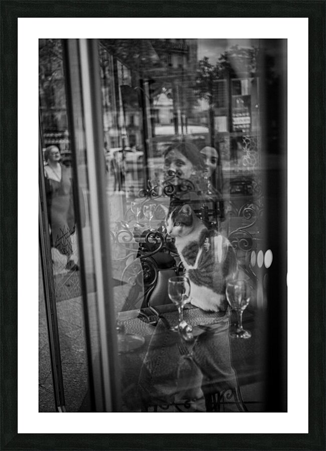 A Parisian cat 4 Picture Frame print