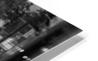 A Parisian cat 4 HD Metal print