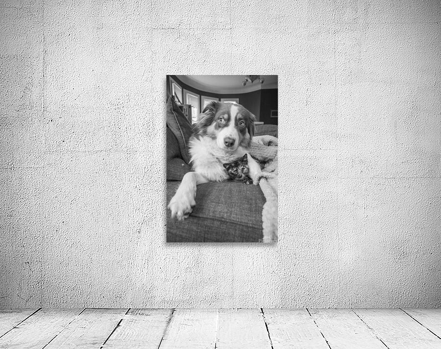 Les deux amis Wall Preview