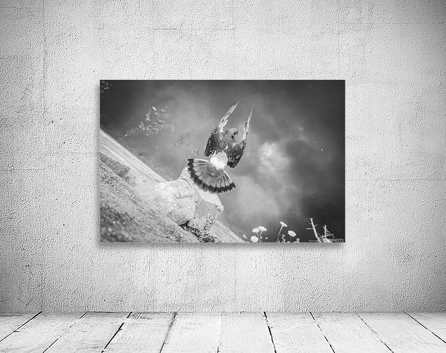 The pigeon Wall Preview