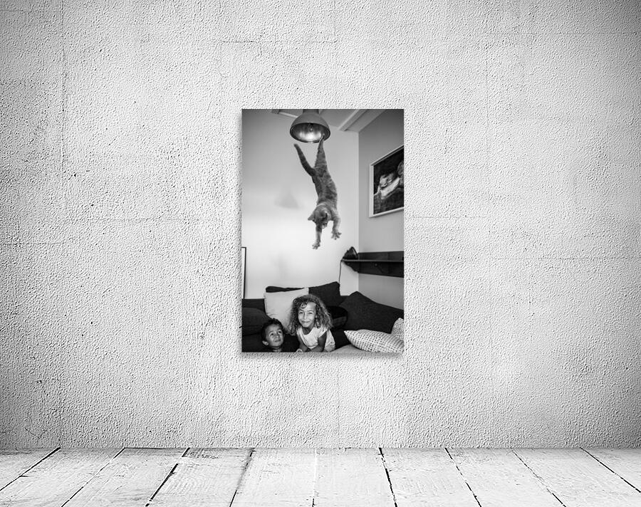 The flying cat Wall Preview