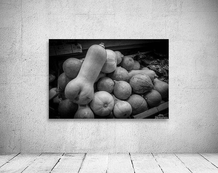 Cucurbitaces   Wall Preview
