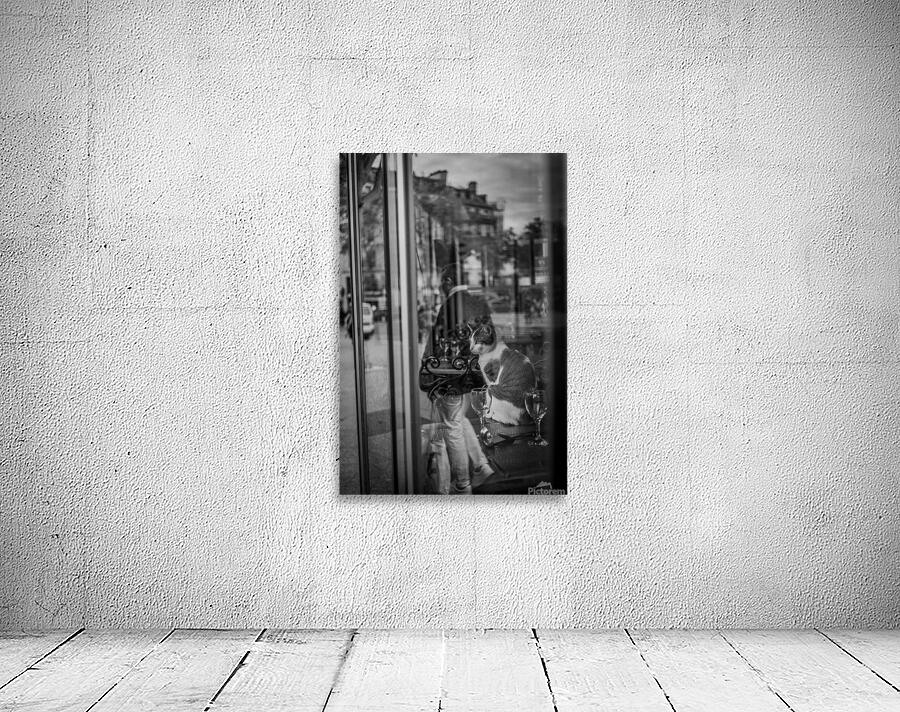 A Parisian cat 3 Wall Preview