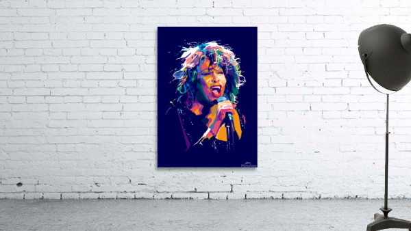 tina turner Wall Preview