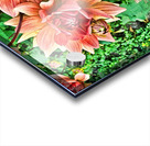 ArtXcl 144 Dahlias Flowers enhanced-paint-style  Acrylic print