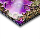 ArtXcl 145 Dahlias Flowers pastel-paint-style Acrylic print