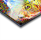 ArtXcl 182 cat abstract  Acrylic print