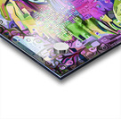 ArtXcl 107 parrot Acrylic print