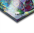 ArtXcl 109 parrot Acrylic print