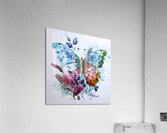 ArtXcl 132 Butterfly oil paint style Acrylic Print