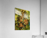 ArtXcl 140 Flowers oil polyart style Acrylic Print