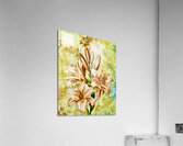 ArtXcl 142 Flowers enhanced digitized style Acrylic Print