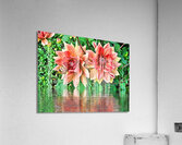 ArtXcl 144 Dahlias Flowers enhanced-paint-style  Acrylic Print