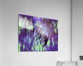 ArtXcl 149 Roses Flowers impressionist-paint-style  Acrylic Print