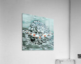 ArtXcl 152 Dahlias in water oil-paint-style Acrylic Print