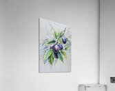 ArtXcl 029 grapes illustration Acrylic Print