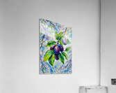 ArtXcl 030 grapes illustration Acrylic Print