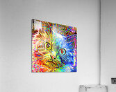 ArtXcl 182 cat abstract  Acrylic Print