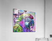 ArtXcl 107 parrot Acrylic Print