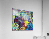 ArtXcl 109 parrot Acrylic Print