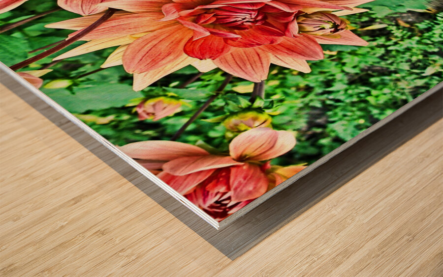 ArtXcl 144 Dahlias Flowers enhanced-paint-style  Wood print