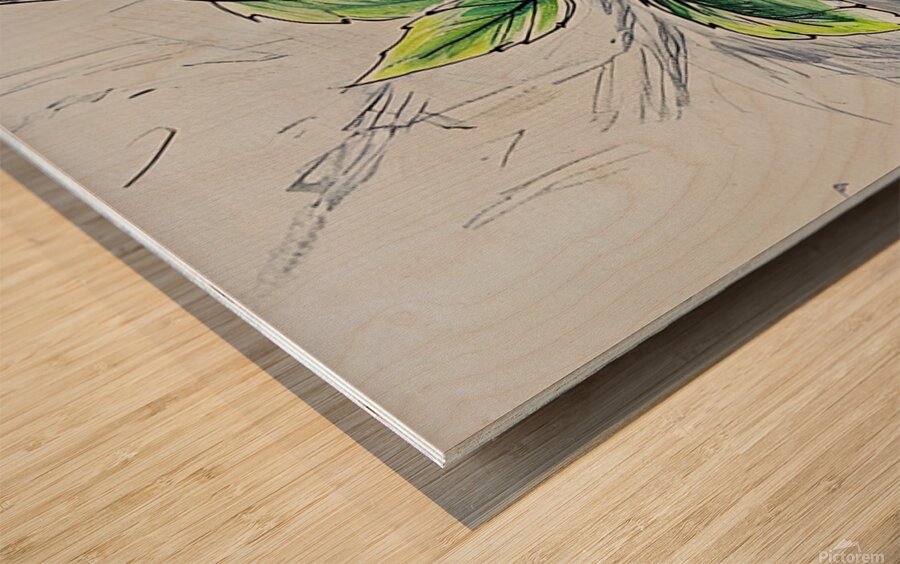 ArtXcl 029 grapes illustration Wood print