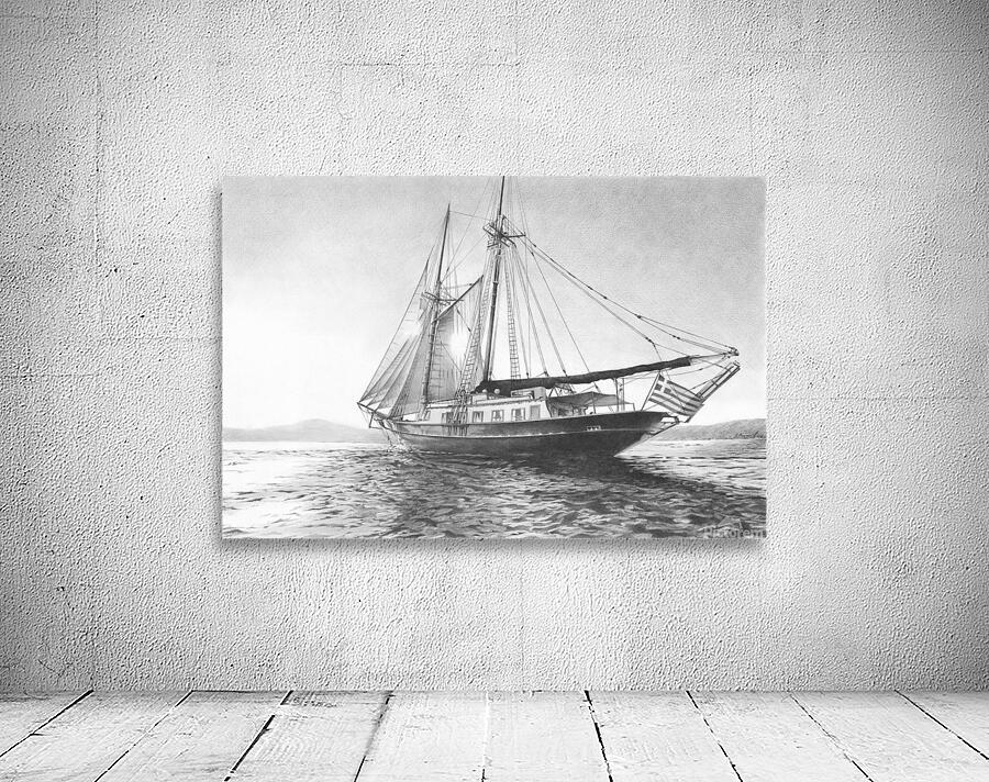 Ship Print: Sealife Wall Preview