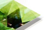 Trees HD Metal print