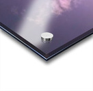 Palms and sun pink Acrylic print