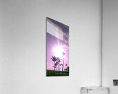 Palms and sun pink Acrylic Print