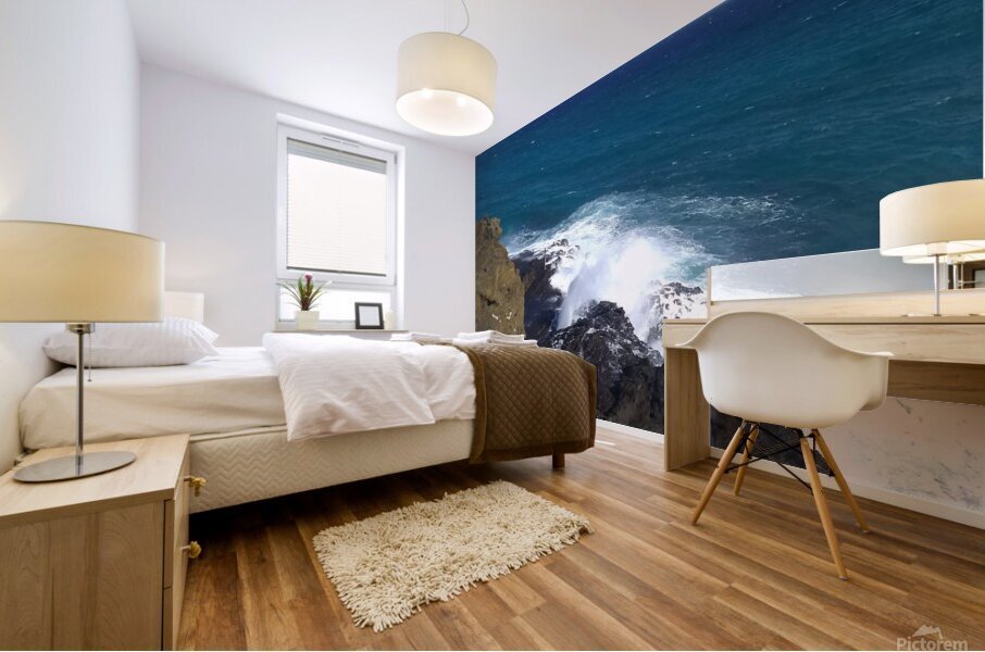 Blowhole Set 1 Mural print