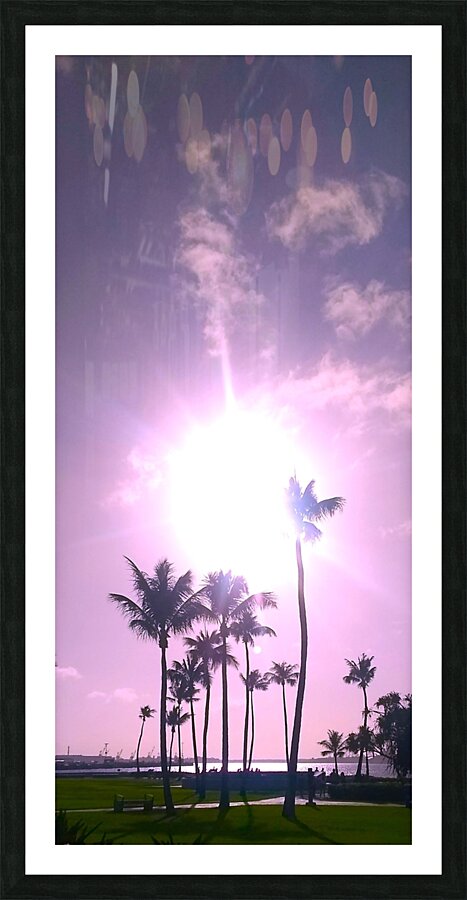 Palms and sun pink Picture Frame print