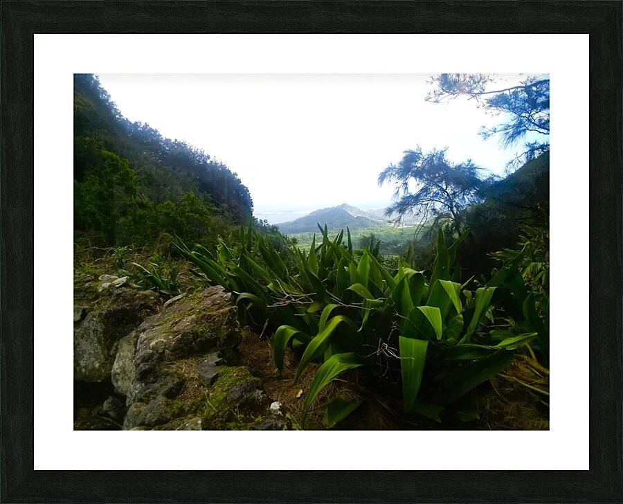 Hawaii 4 Picture Frame print