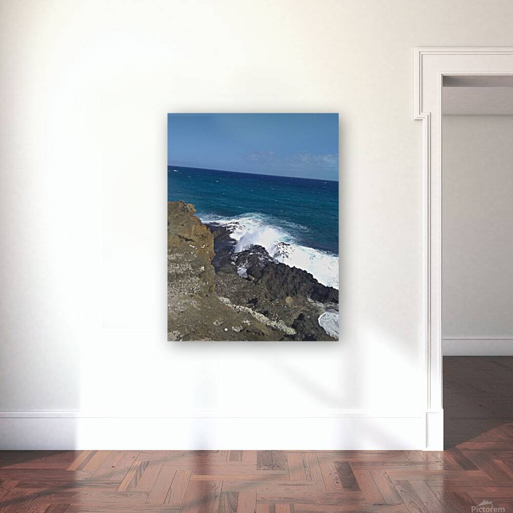 Blowhole Set 1 Reproduction