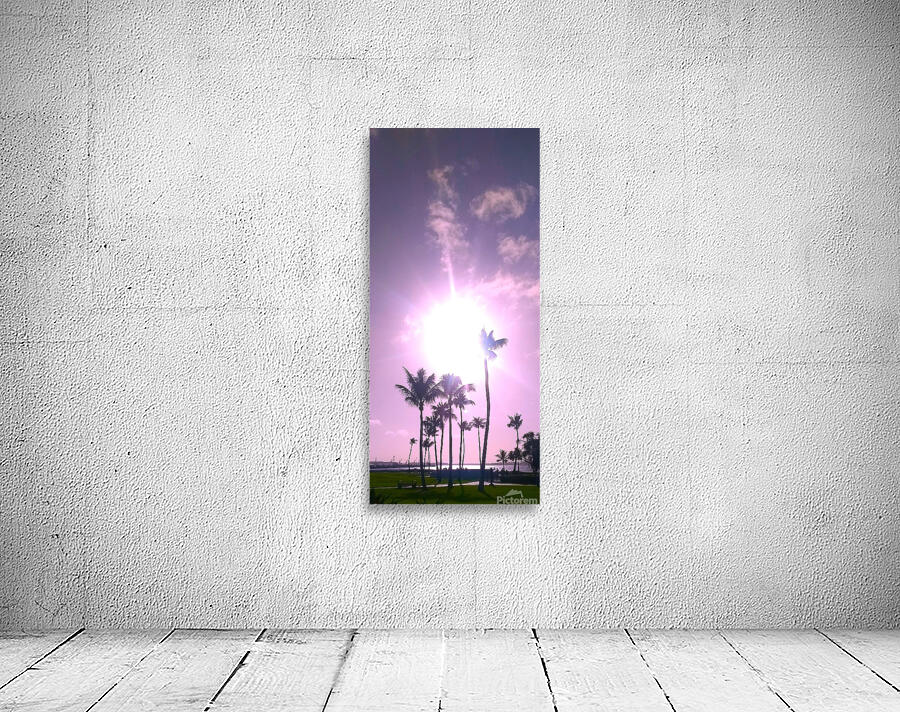 Palms and sun pink Wall Preview