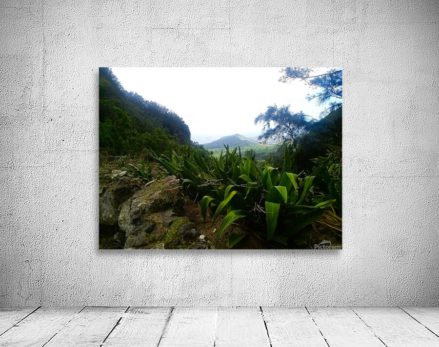 Hawaii 4 Wall Preview