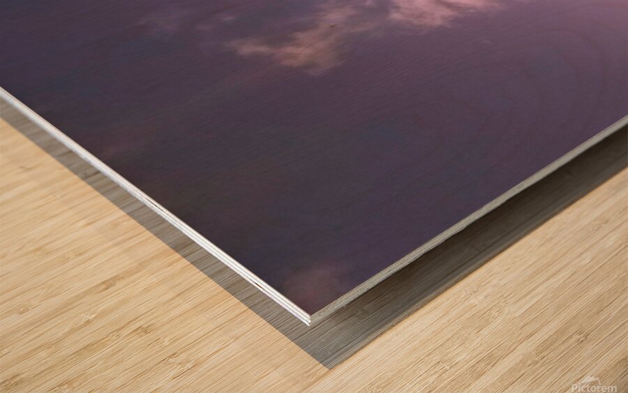 Palms and sun pink Wood print