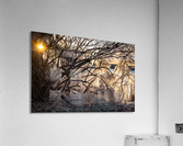 Fire and Ice Acrylic Print