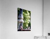 Ruffled Acrylic Print