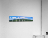 Blue Acrylic Print