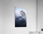 Untitled Acrylic Print